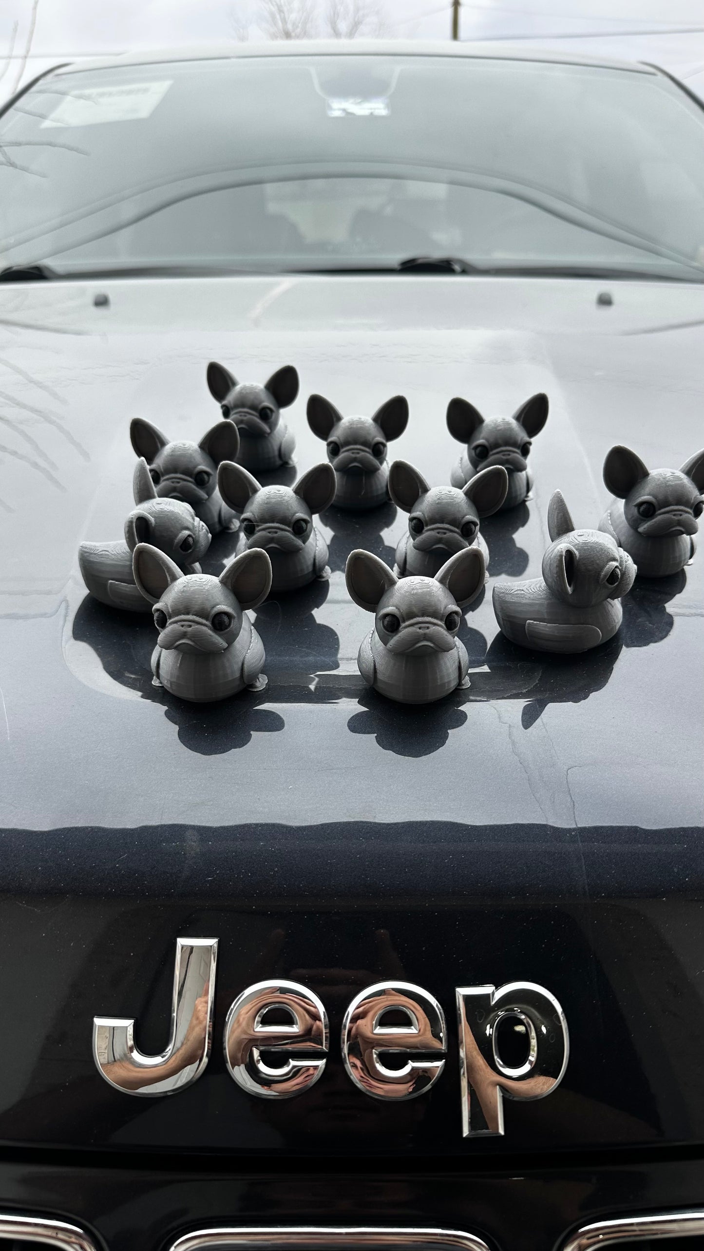 French bullduck