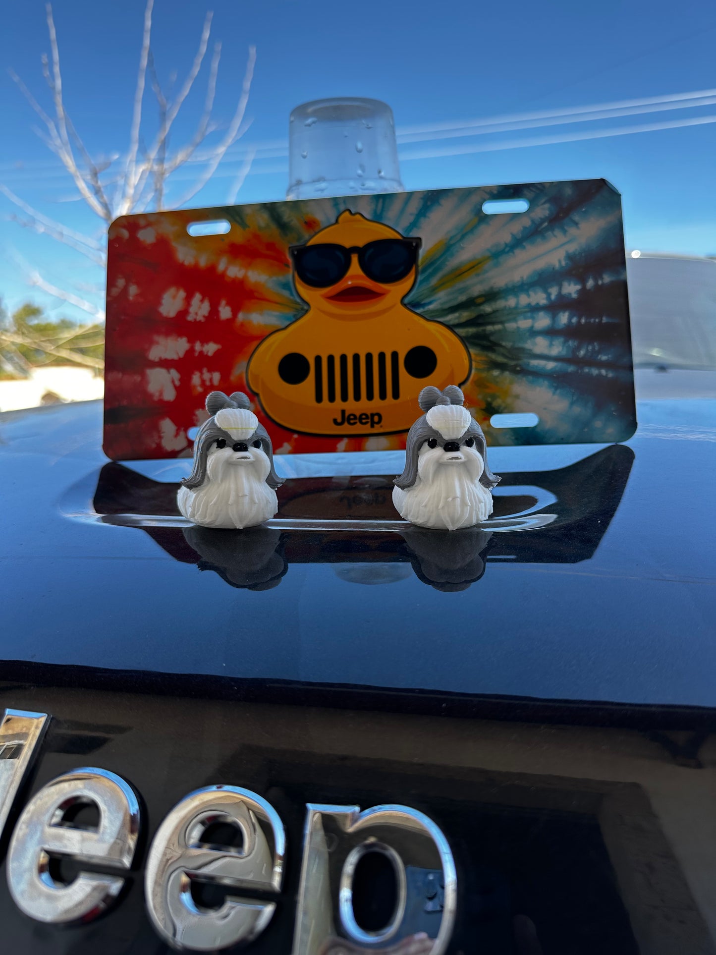 Shih tzu duck