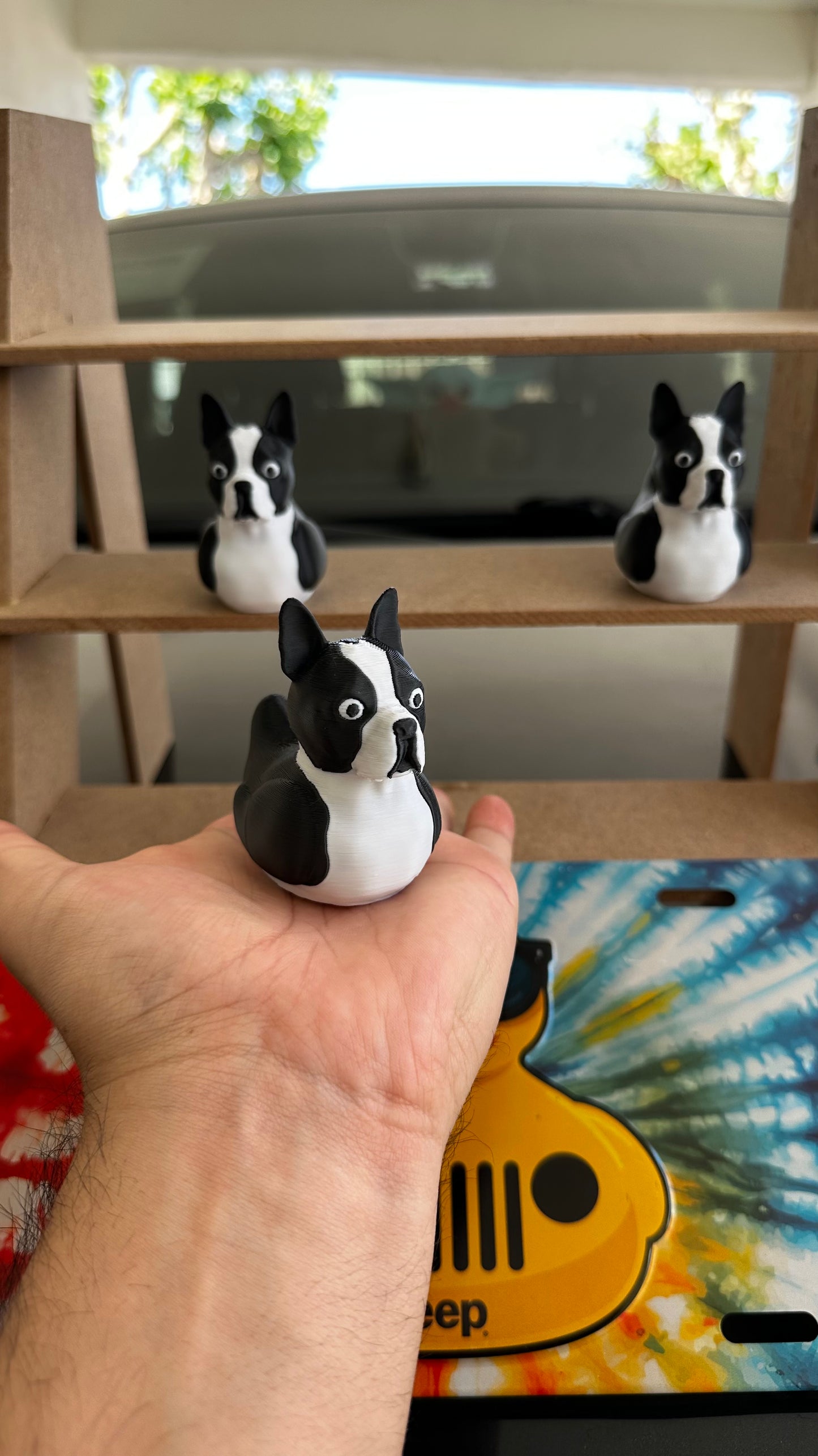 Boston terrier duck