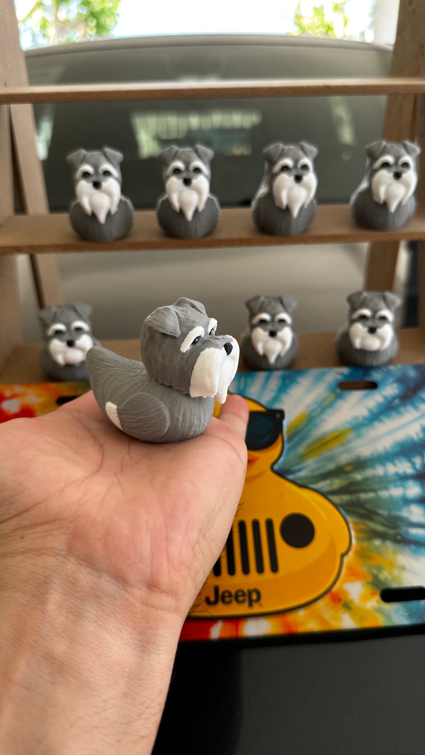 Schnauzer duck