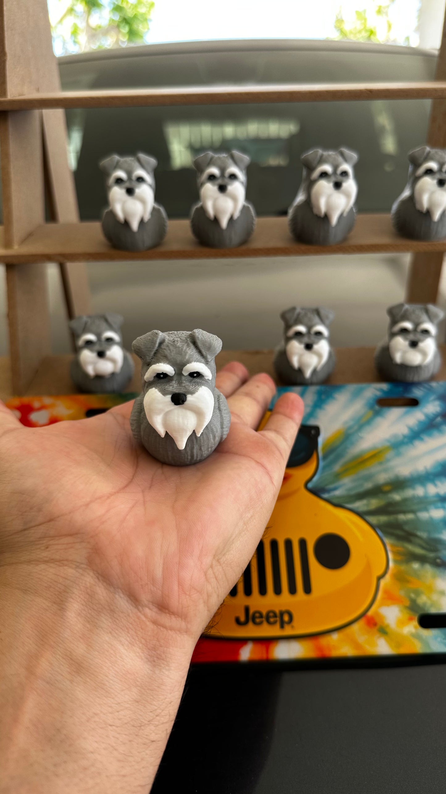 Schnauzer duck