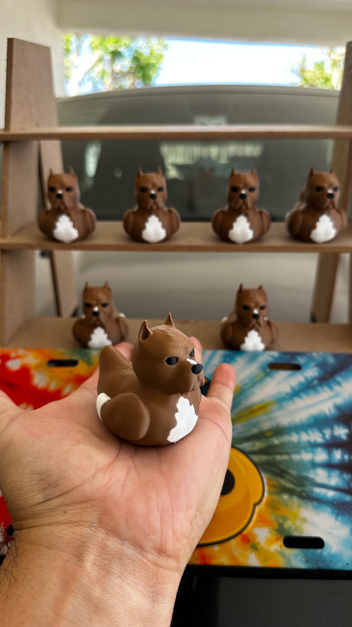 Pitbull Duck – Tough on the Outside, Sweet on the Inside
