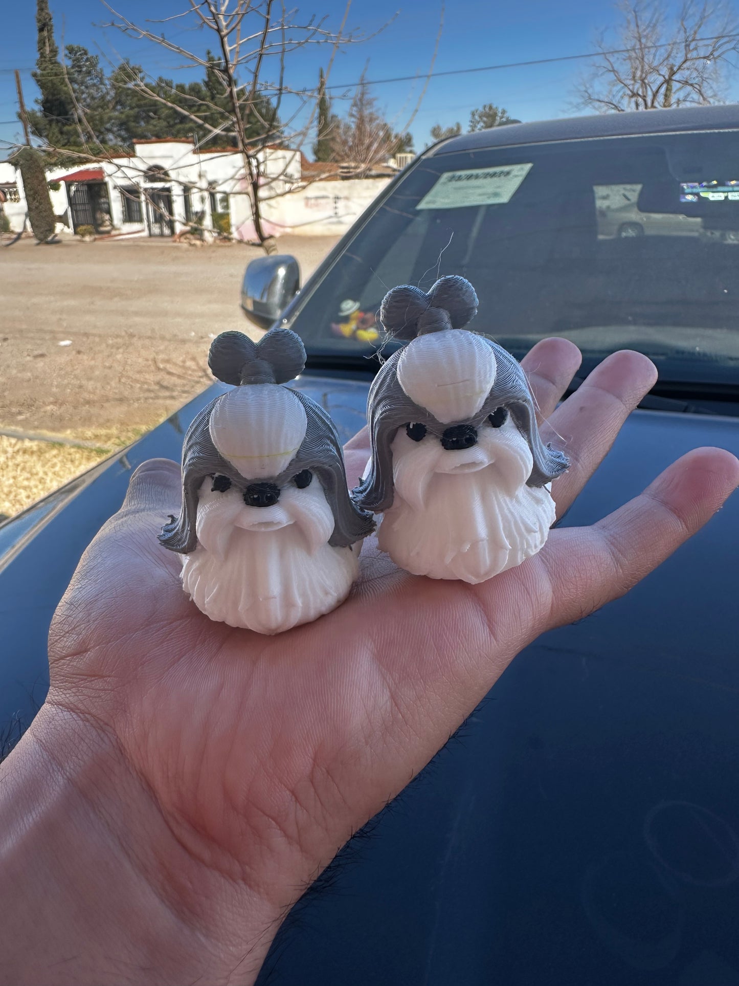 Shih tzu duck