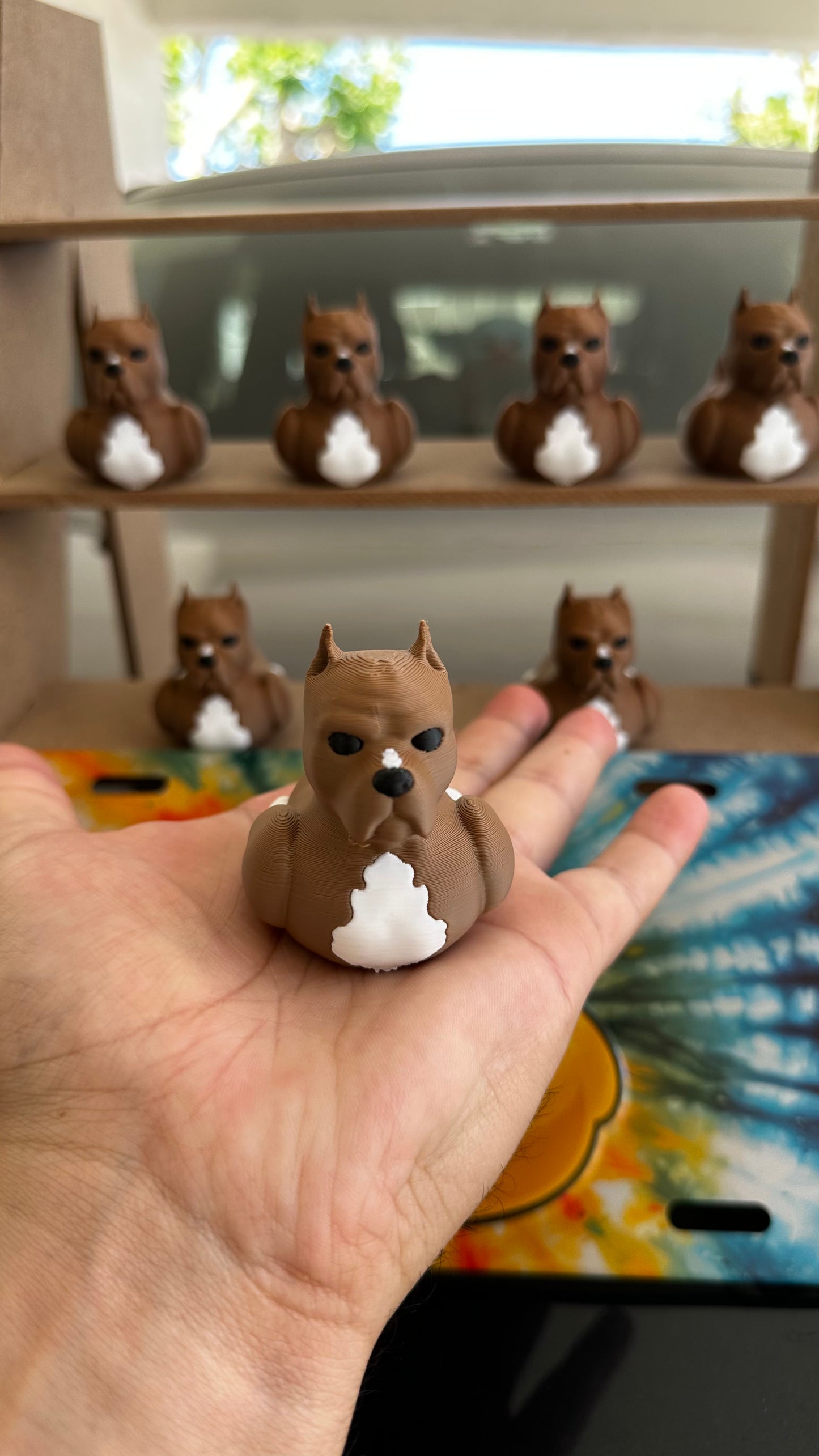 Pitbull Duck – Tough on the Outside, Sweet on the Inside