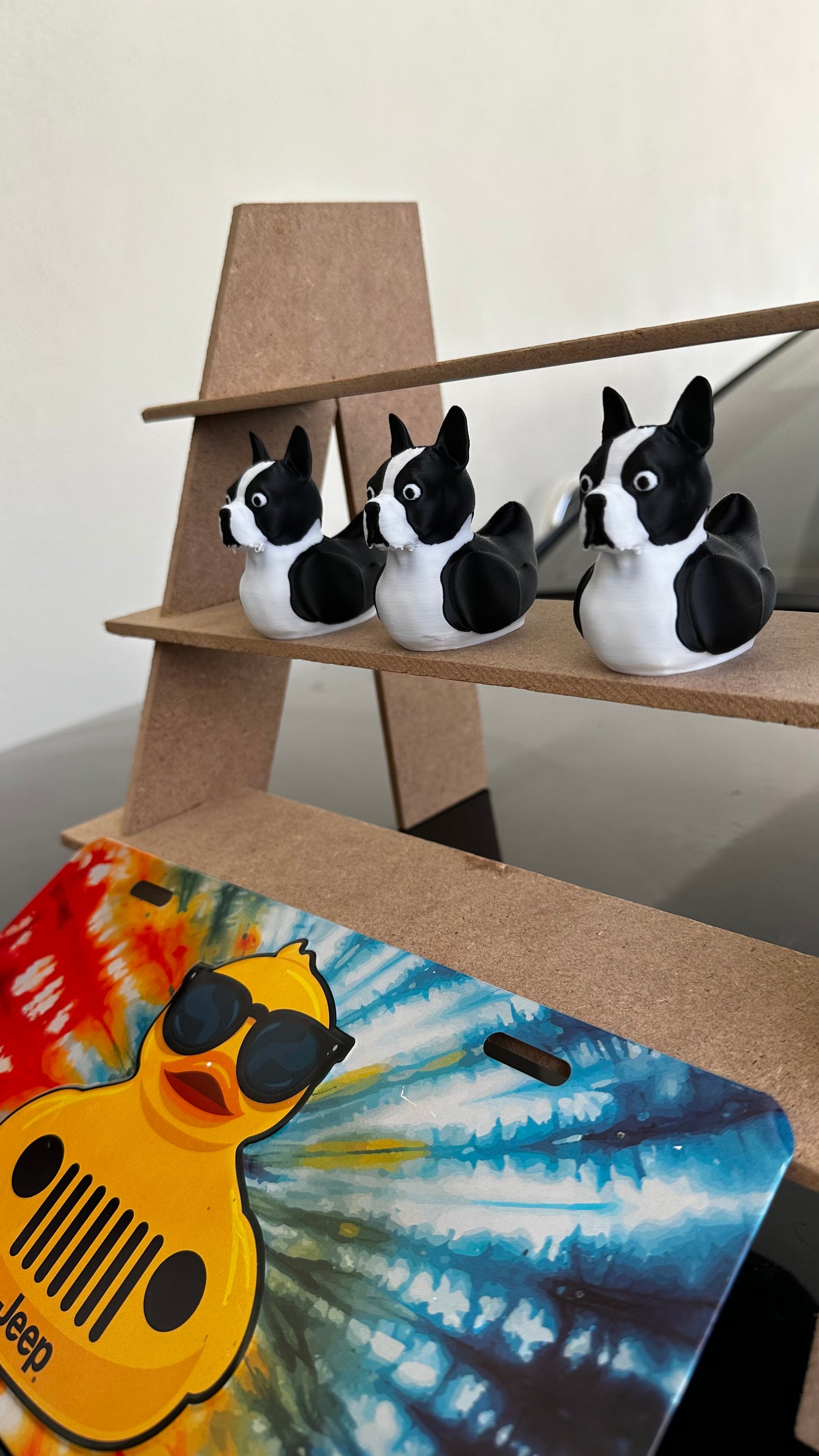 Boston terrier duck
