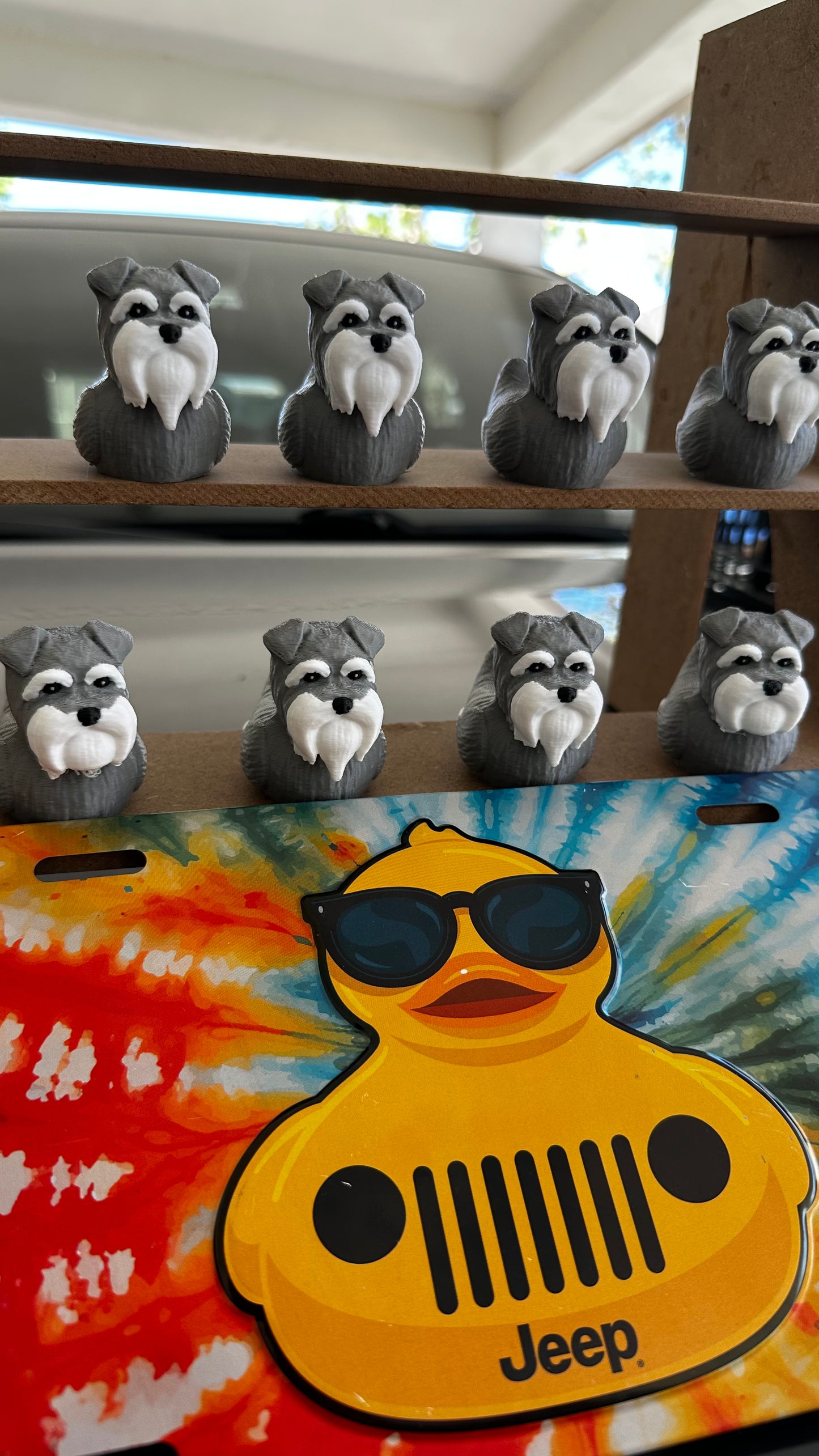 Schnauzer duck