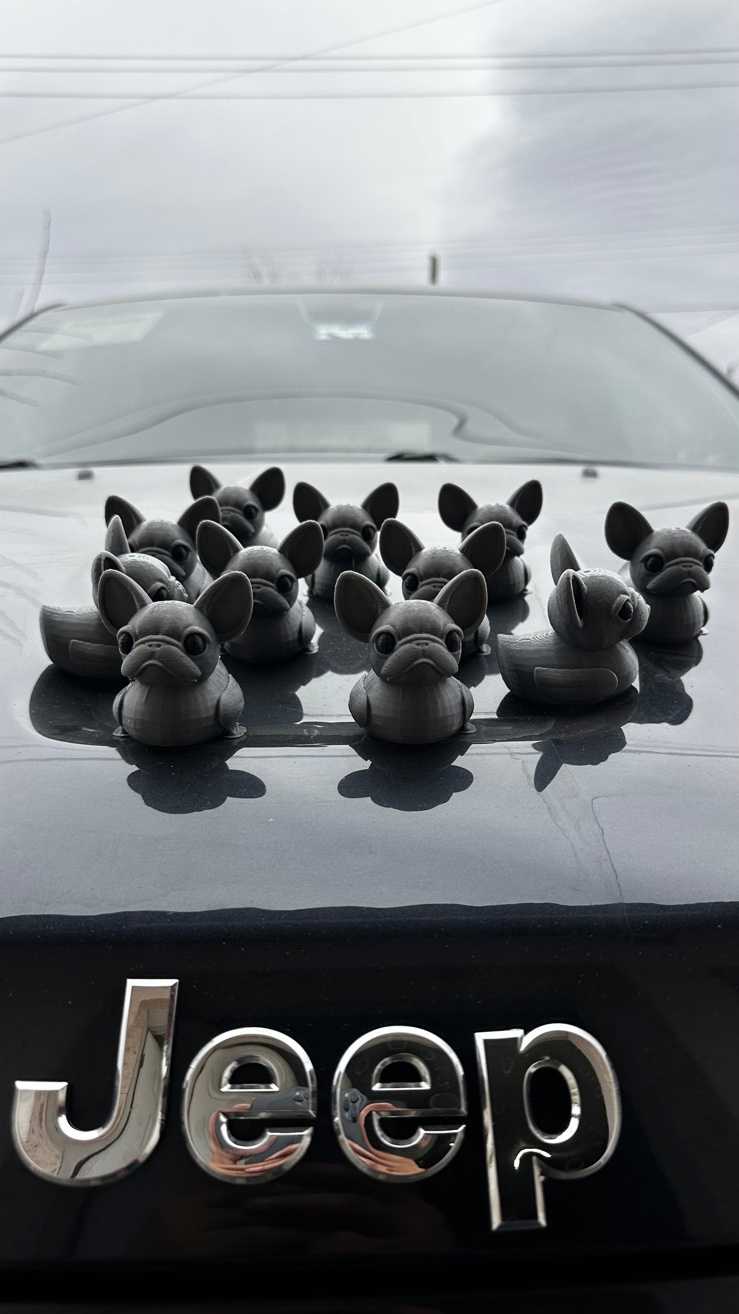French bullduck