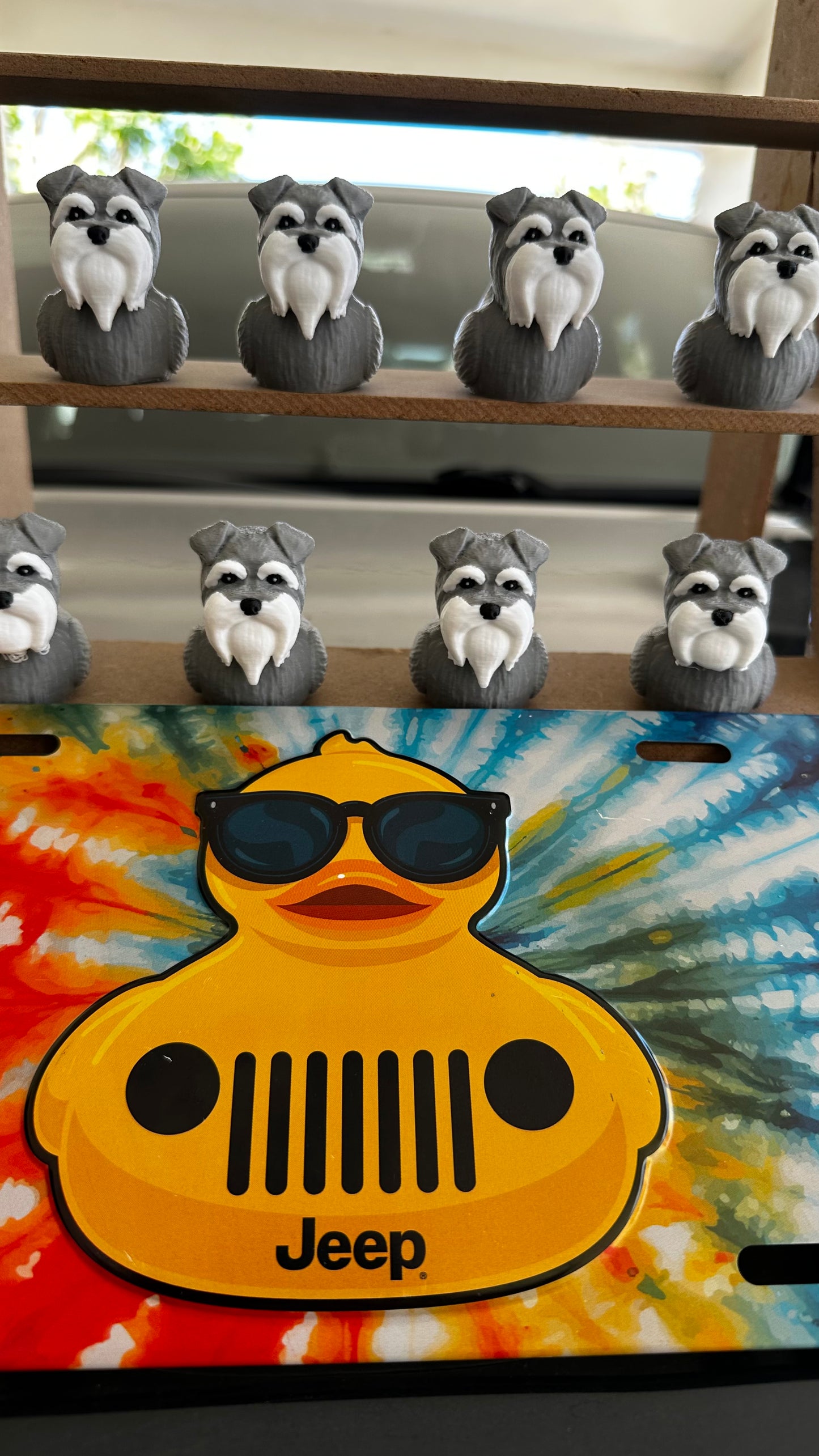 Schnauzer duck