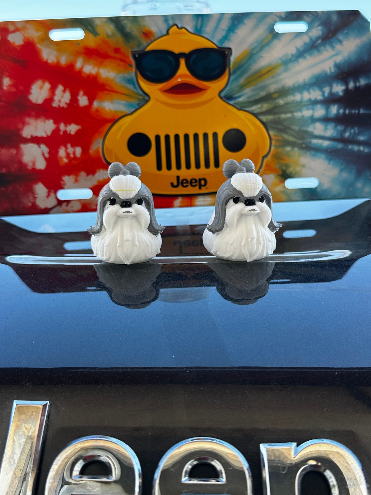 Shih tzu duck