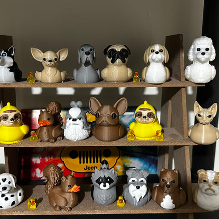 Collection image for: Puppy ducks