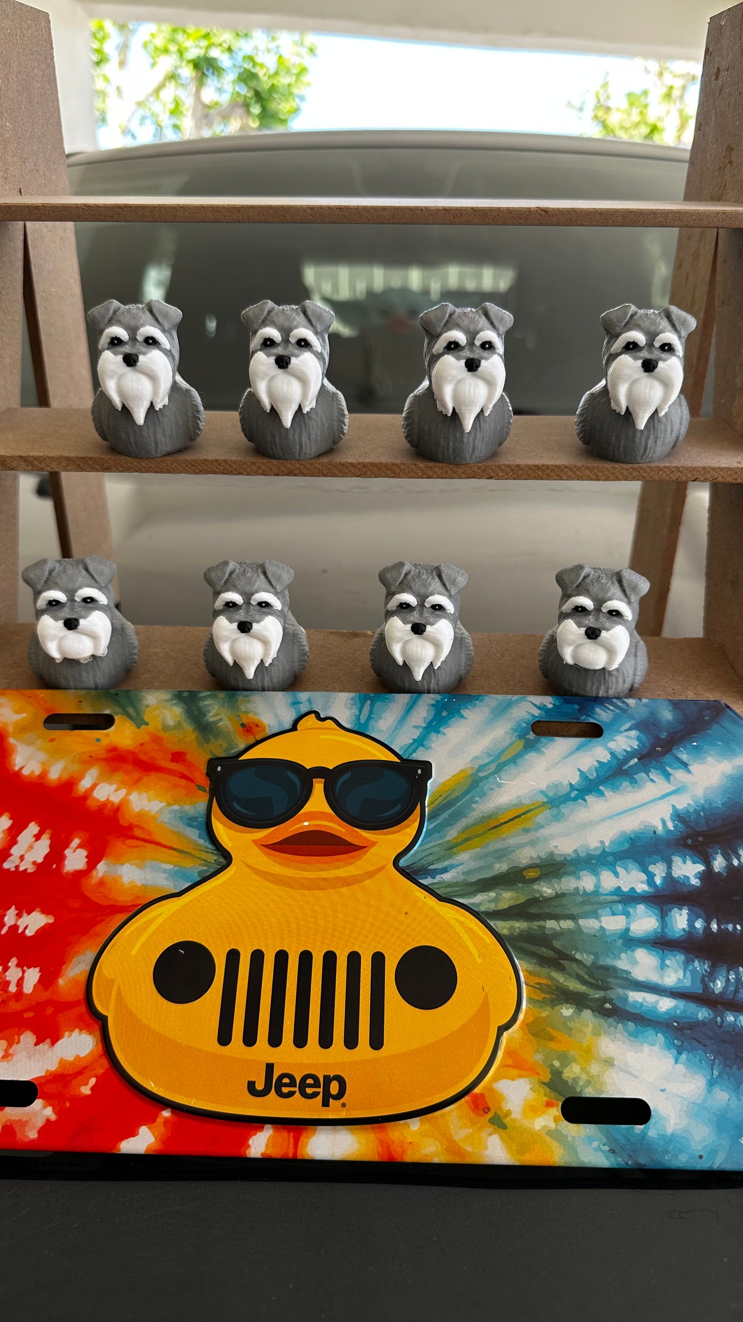 Schnauzer duck