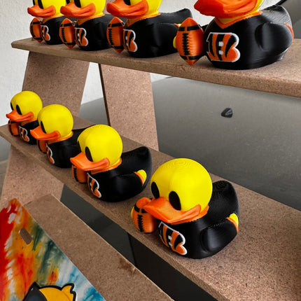 Cincinnati Football Duck