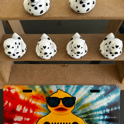 Dalmatian Duck – The Spotted Star of Your Dashboard