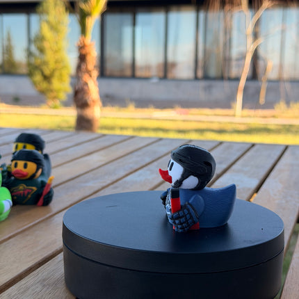Vancouver Canucks Hockey Duck – 3D Printed NHL Fan Dashboard Duck | Canucks Fan Gift | Hockey Car Dashboard Decor