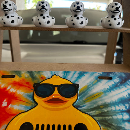 Dalmatian Duck – The Spotted Star of Your Dashboard