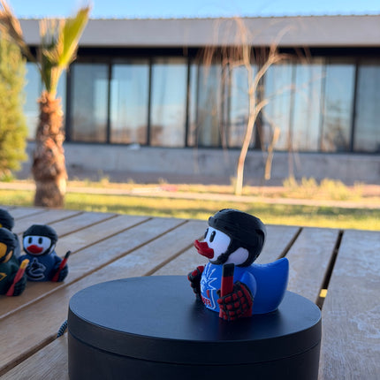 New York Rangers Hockey Duck – 3D Printed NHL Fan Dashboard Duck | Rangers Fan Gift | Hockey Car Dashboard Decor