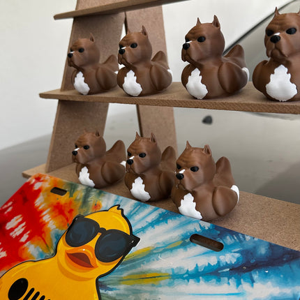 Pitbull Duck – Tough on the Outside, Sweet on the Inside