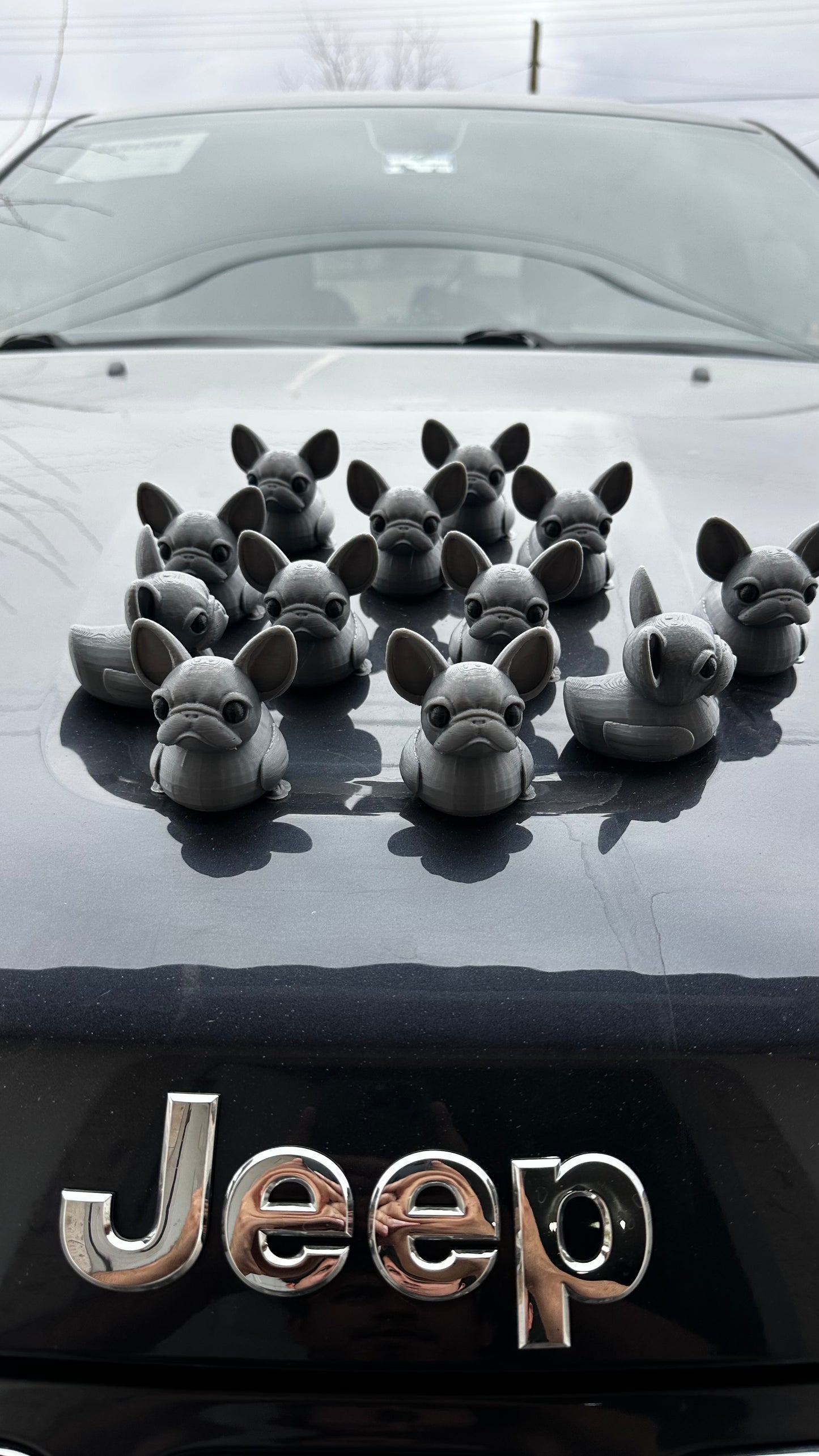 French bullduck