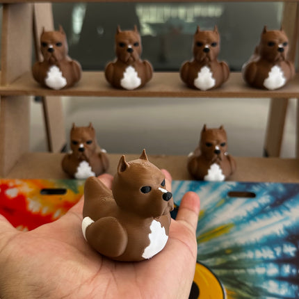 Pitbull Duck – Tough on the Outside, Sweet on the Inside