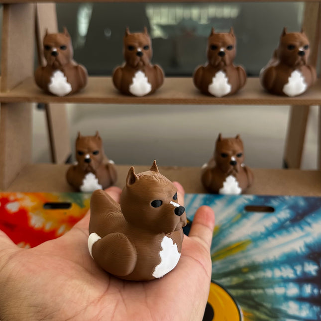 Pitbull Duck – Tough on the Outside, Sweet on the Inside