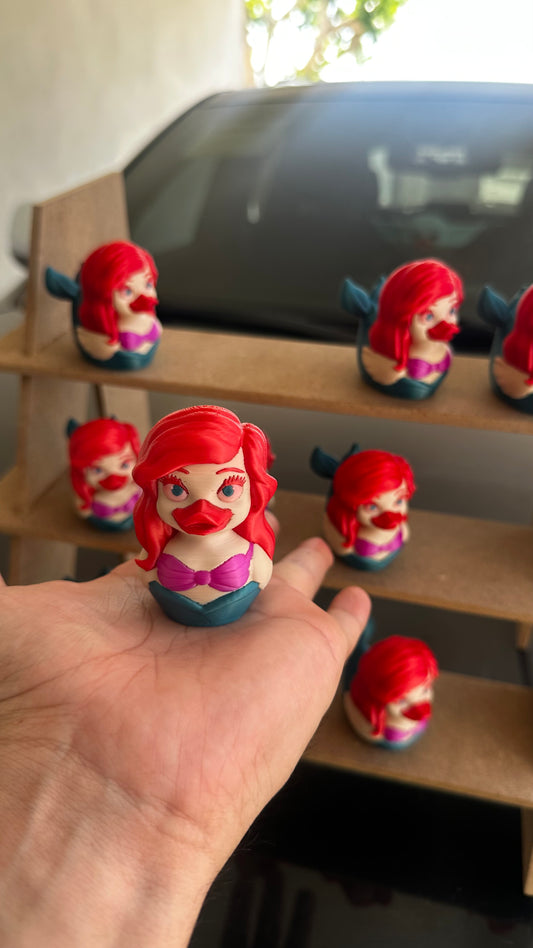 Ariel duck