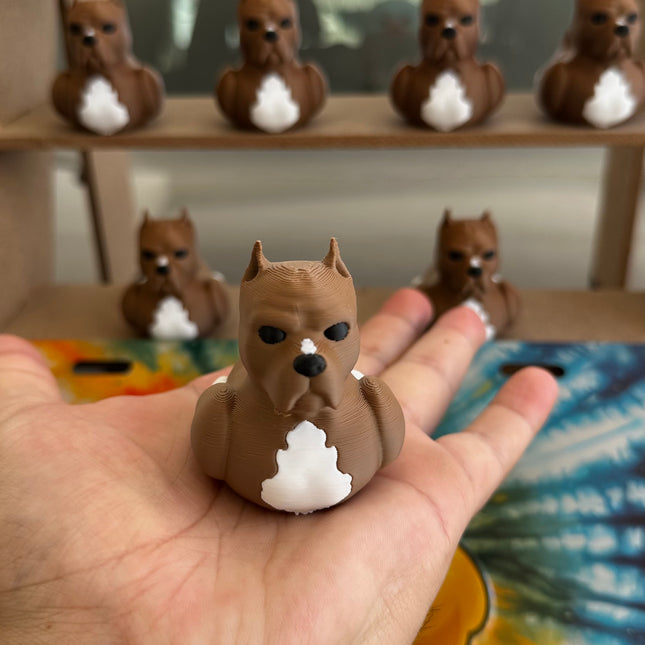 Pitbull Duck – Tough on the Outside, Sweet on the Inside