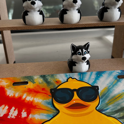 Husky Duck – The Coolest Quack on the Trail