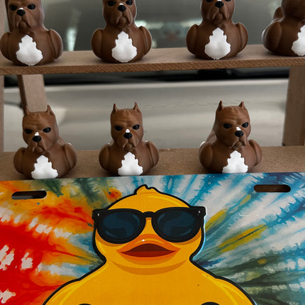 Pitbull Duck – Tough on the Outside, Sweet on the Inside