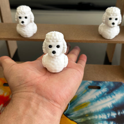 Poodle Duck – The Classiest Quack in Town