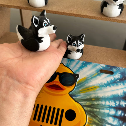 Husky Duck – The Coolest Quack on the Trail