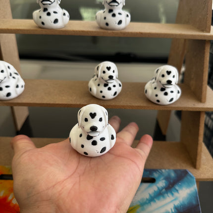 Dalmatian Duck – The Spotted Star of Your Dashboard