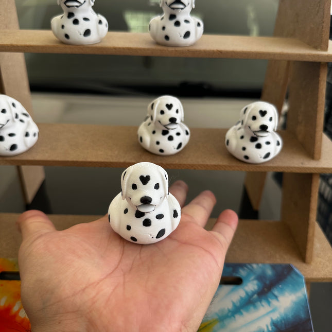 Dalmatian Duck – The Spotted Star of Your Dashboard