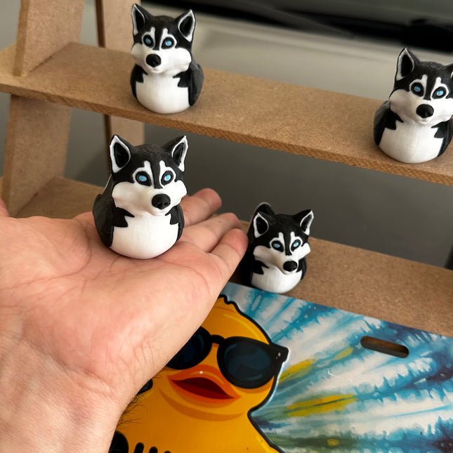 Husky Duck – The Coolest Quack on the Trail