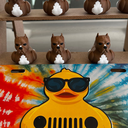 Pitbull Duck – Tough on the Outside, Sweet on the Inside