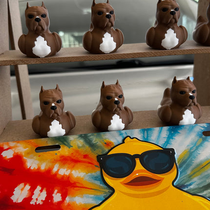 Pitbull Duck – Tough on the Outside, Sweet on the Inside