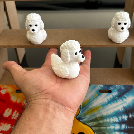 Poodle Duck – The Classiest Quack in Town