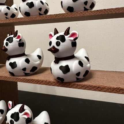 cow ducks