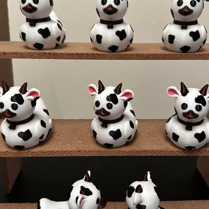 cow ducks